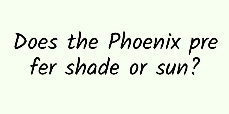 Does the Phoenix prefer shade or sun?
