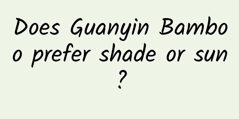Does Guanyin Bamboo prefer shade or sun?