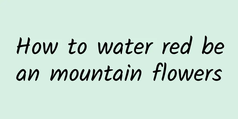 How to water red bean mountain flowers