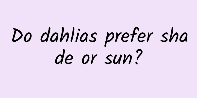Do dahlias prefer shade or sun?