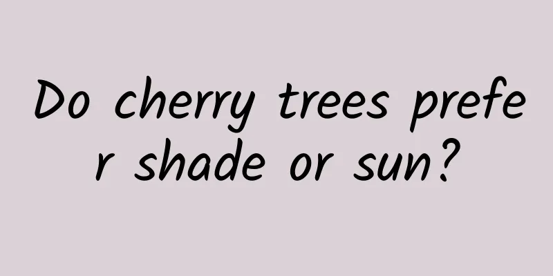Do cherry trees prefer shade or sun?