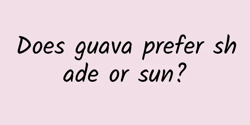 Does guava prefer shade or sun?