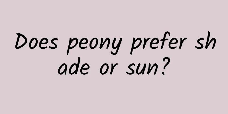 Does peony prefer shade or sun?