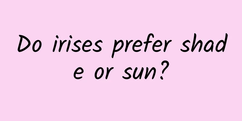 Do irises prefer shade or sun?