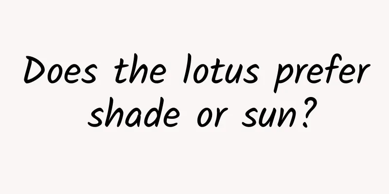 Does the lotus prefer shade or sun?