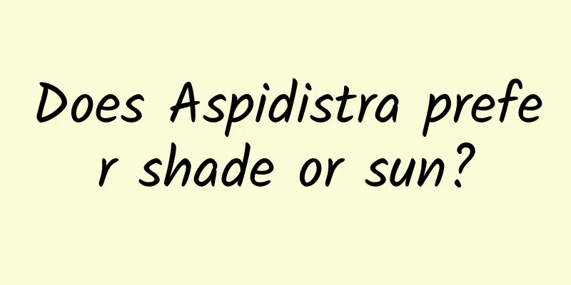 Does Aspidistra prefer shade or sun?