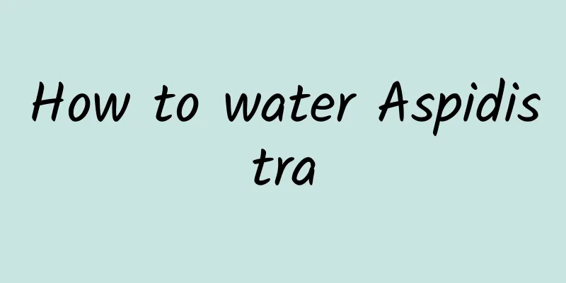 How to water Aspidistra
