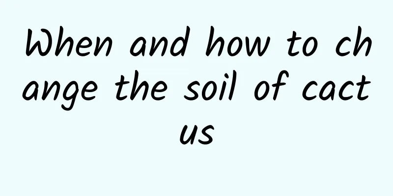 When and how to change the soil of cactus