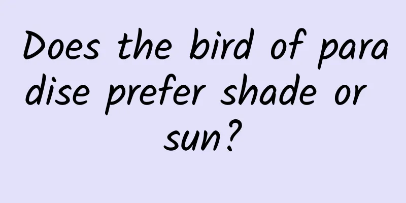 Does the bird of paradise prefer shade or sun?
