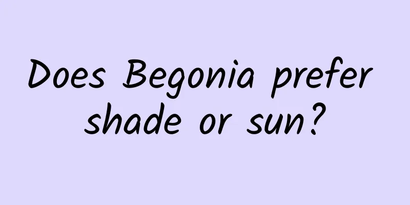 Does Begonia prefer shade or sun?
