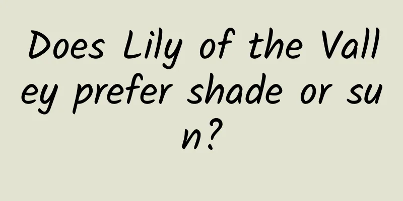 Does Lily of the Valley prefer shade or sun?
