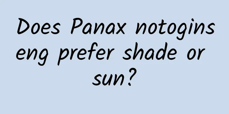 Does Panax notoginseng prefer shade or sun?