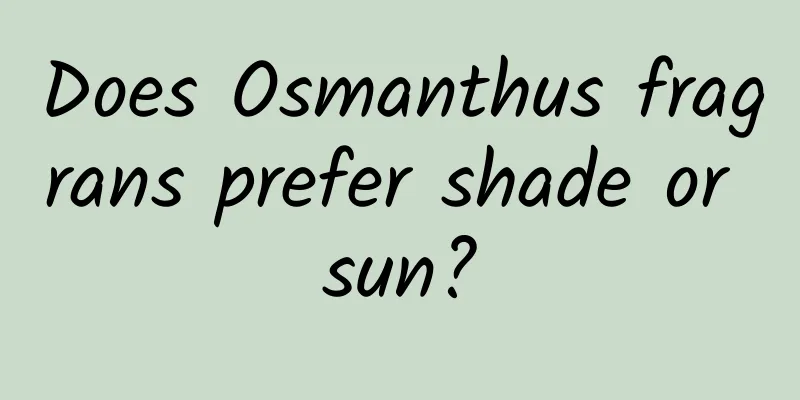 Does Osmanthus fragrans prefer shade or sun?