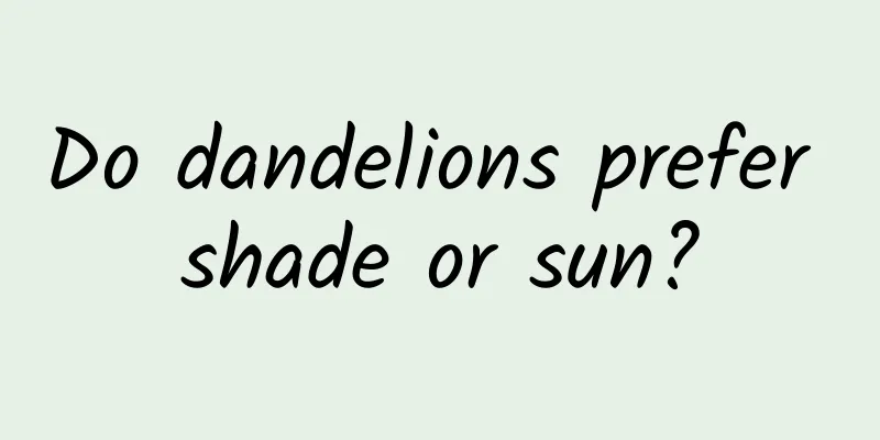 Do dandelions prefer shade or sun?