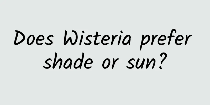 Does Wisteria prefer shade or sun?