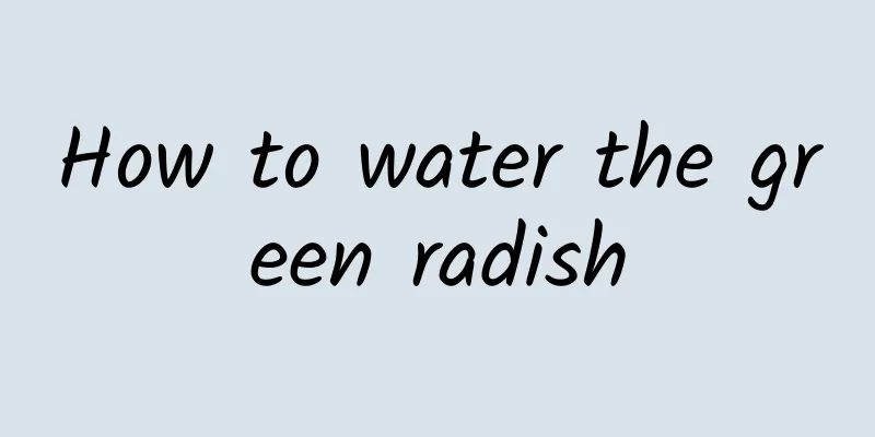 How to water the green radish