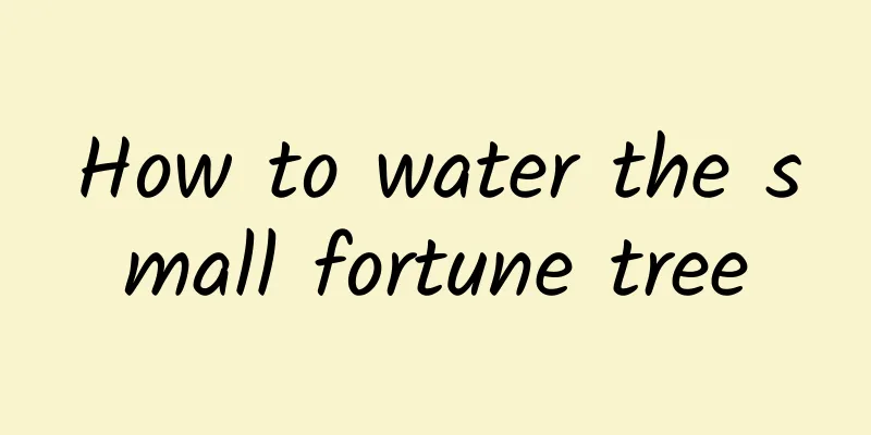 How to water the small fortune tree