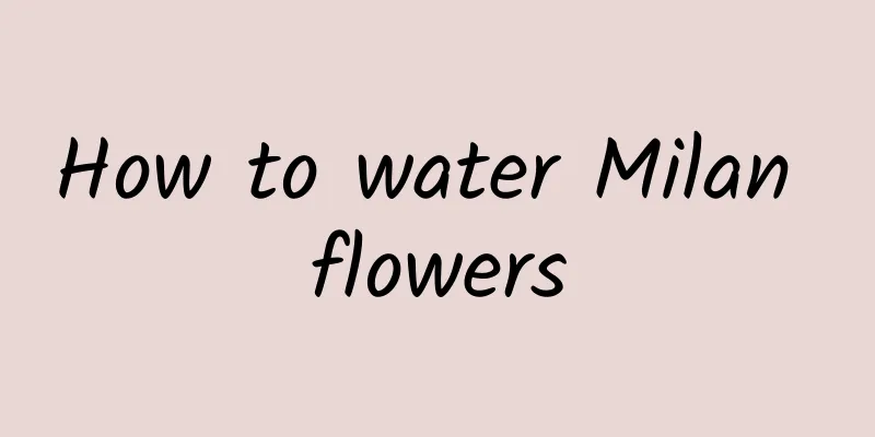 How to water Milan flowers