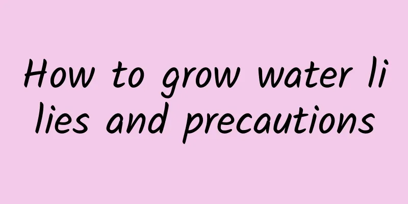 How to grow water lilies and precautions