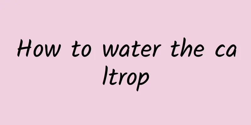 How to water the caltrop