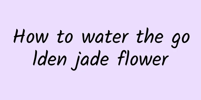 How to water the golden jade flower