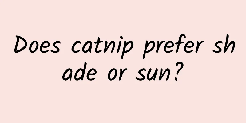 Does catnip prefer shade or sun?