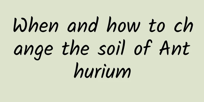When and how to change the soil of Anthurium