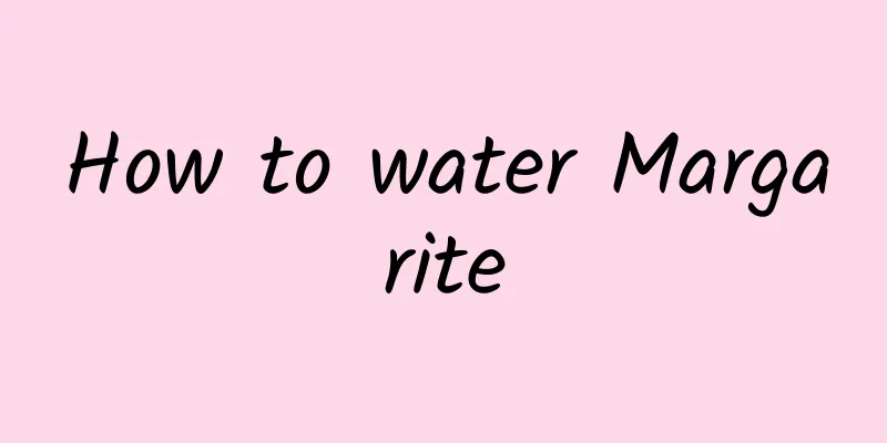 How to water Margarite