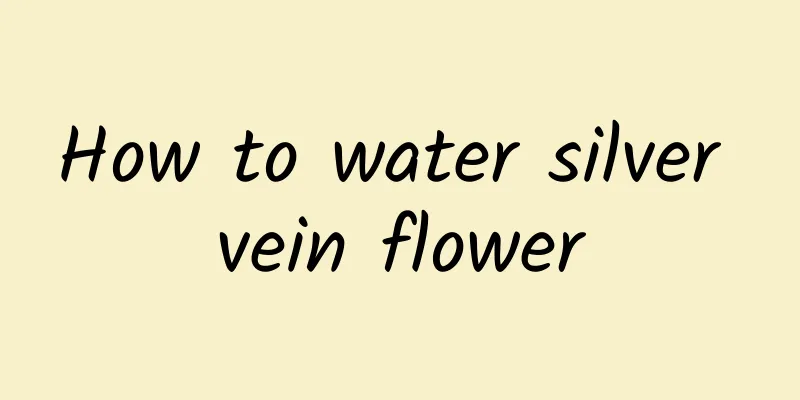 How to water silver vein flower