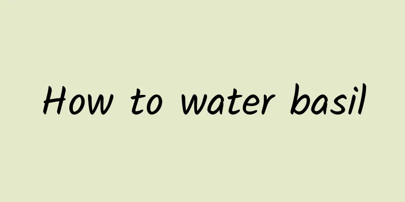 How to water basil