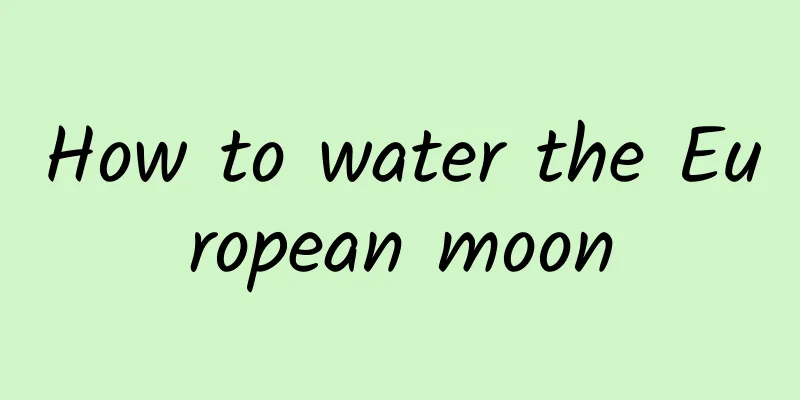 How to water the European moon