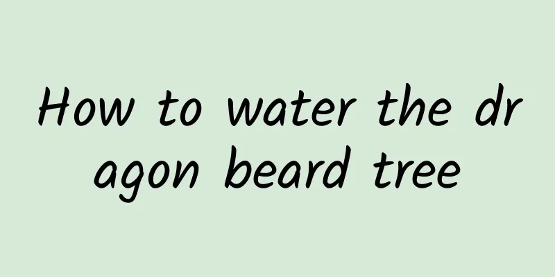 How to water the dragon beard tree