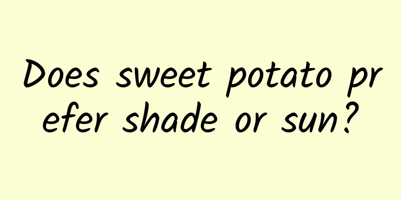 Does sweet potato prefer shade or sun?