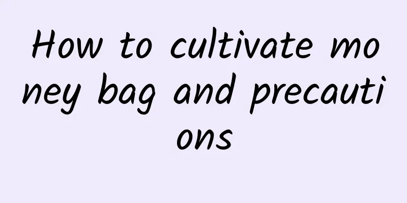 How to cultivate money bag and precautions