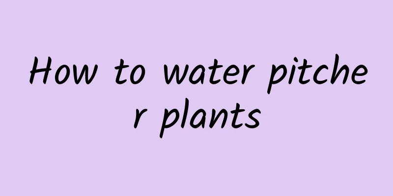 How to water pitcher plants