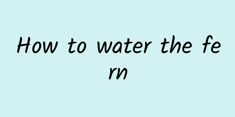 How to water the fern