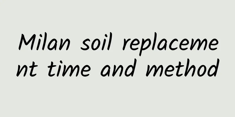 Milan soil replacement time and method
