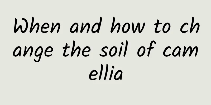 When and how to change the soil of camellia