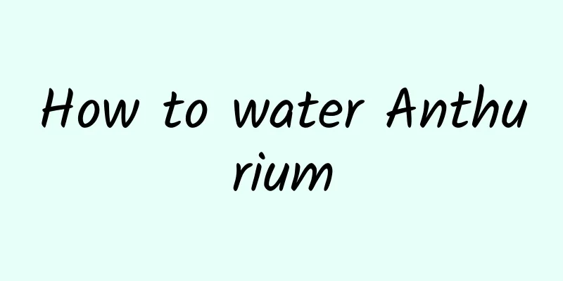 How to water Anthurium