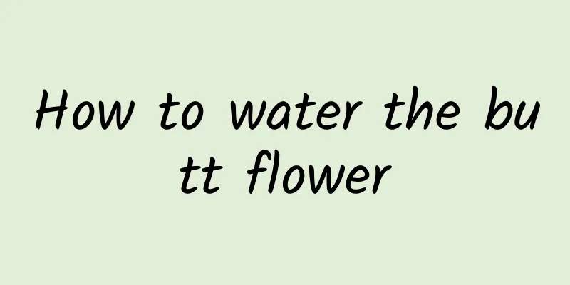 How to water the butt flower
