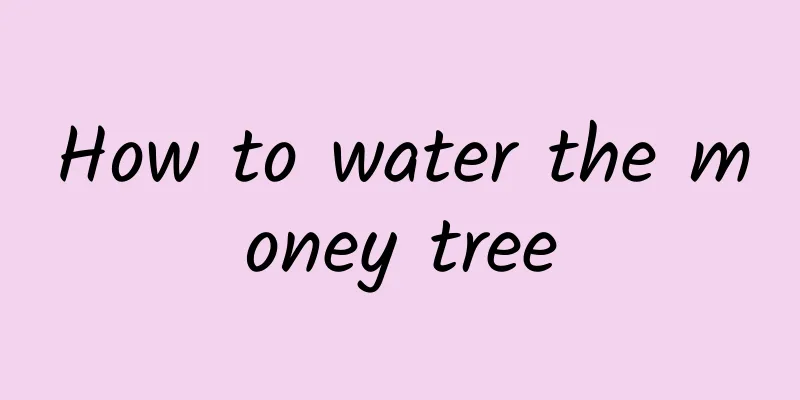 How to water the money tree