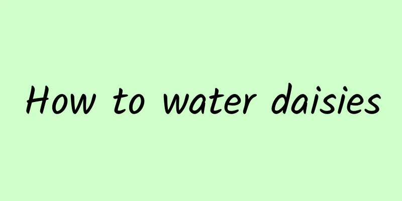 How to water daisies