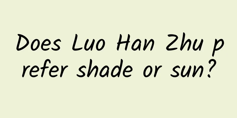 Does Luo Han Zhu prefer shade or sun?