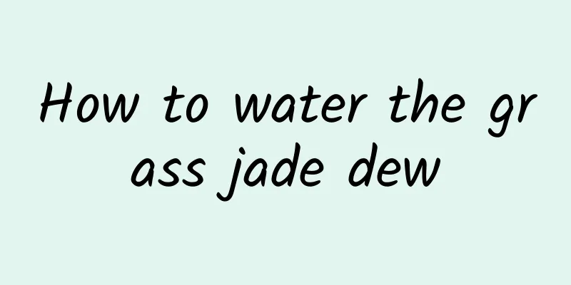 How to water the grass jade dew