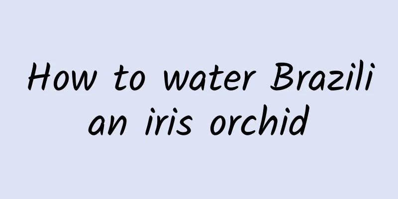 How to water Brazilian iris orchid