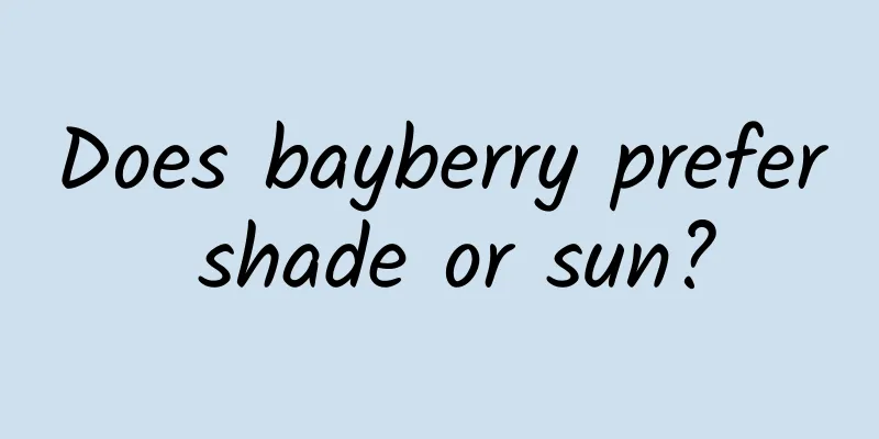 Does bayberry prefer shade or sun?