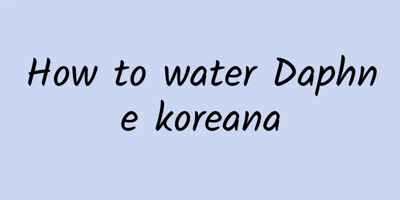 How to water Daphne koreana