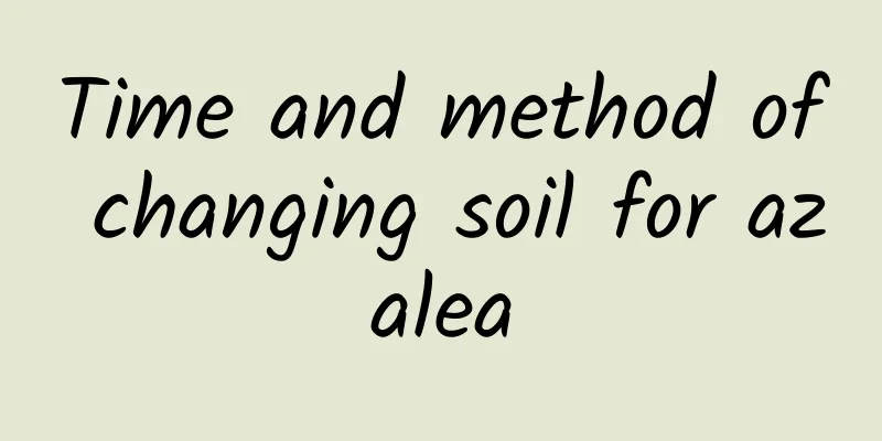 Time and method of changing soil for azalea