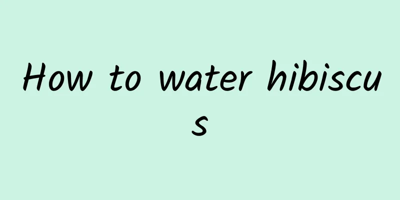 How to water hibiscus