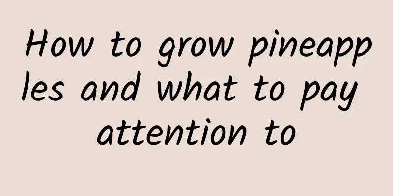 How to grow pineapples and what to pay attention to